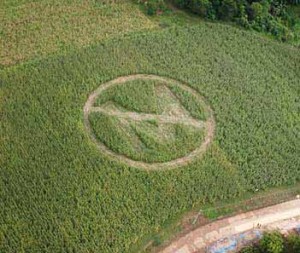 Hungary-Destroys-All-Monsanto-GMO-Corn-Fields-300x253