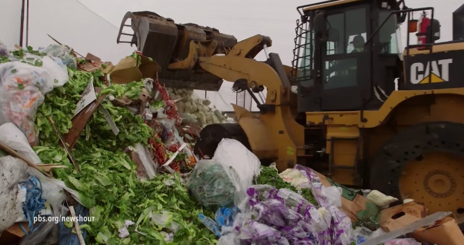 Why does almost half of America’s food go to waste 4   YouTube