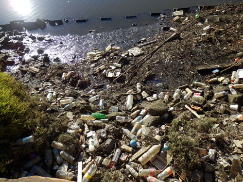 cooks-river-pollution-photo-by-saving-our-trees