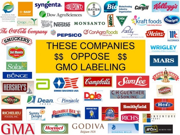 gmo labeling