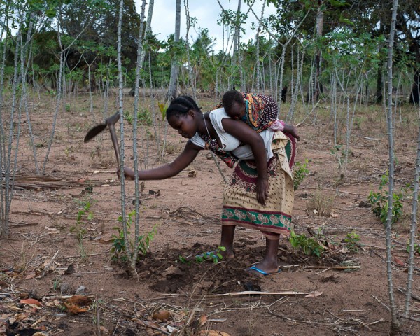 Child Marriage, Mozambique, 2014