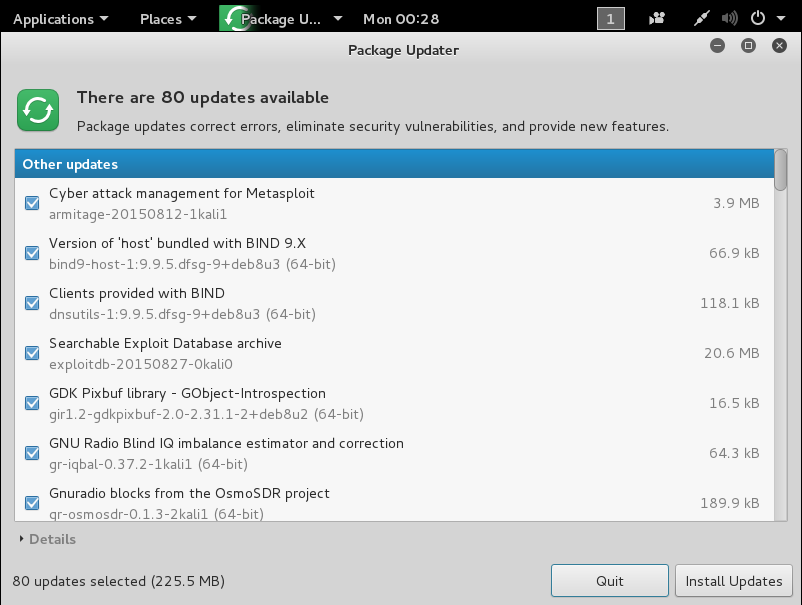 Kali Linux Package Updater