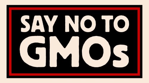 gmo-back