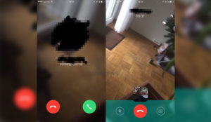 whatsapp video calling