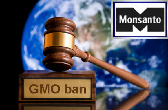 Kenya-BANS-All-GMO-Monsanto-Foods