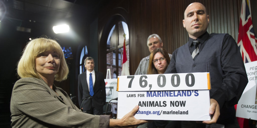 TORONTO, ON - SEPTEMBER 17: MPP Cheri DiNovo accepted boxes of petitions from Philip Demers, former Marineland senior marine animal trainer (far right), as Rob Laidlaw, director of Zoocheck; Jim Hammond, land animal care supervisor and Angela Bentivegna, marine mammal trainer look on. Petitions by more than 76,000 people were brought to Queen's Park by former staff of Marineland. (Bernard Weil/Toronto Star via Getty Images)