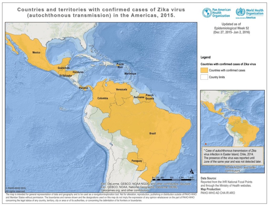 zika virus