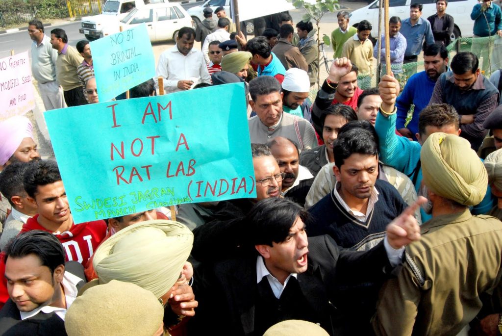 Photo- Protest against BT Brinjal in Chd