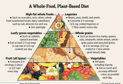 balanced-plant-based-diet-1