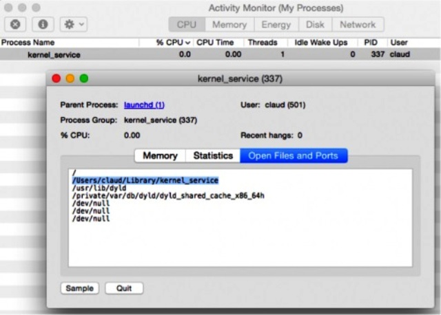 Image Source - Palo Alto Networks: A screenshot of kernal_service process.