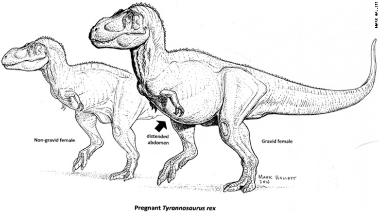 pregnant-t-rex-exlarge
