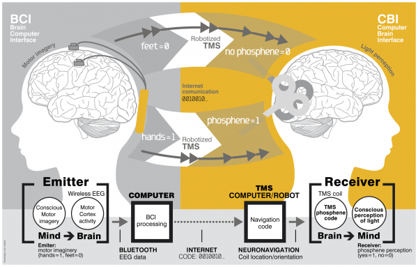 TMS Concept Diagram