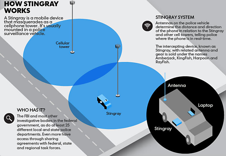 stingray-diagram