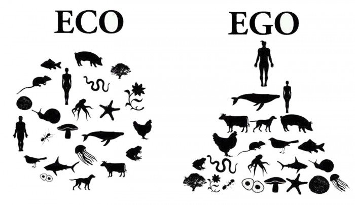 Ego Vs  Eco  Why The Human Race Has Yet To Overcome The
