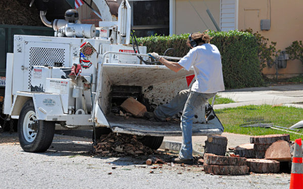 worker trying to kick wood into a chipper in an unsafe and unprotected way (how not to use a wood chipper)