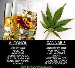 Alcohol-vs-Cannabis