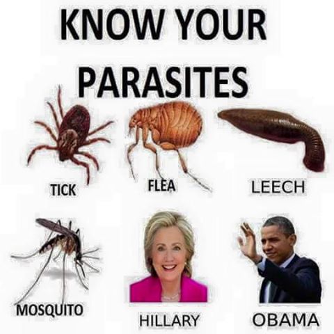 politicans and parasites