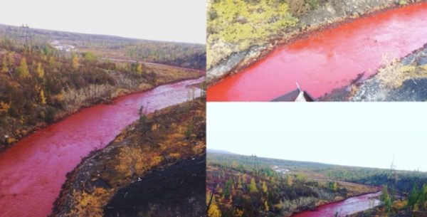 Russian river turns blood red