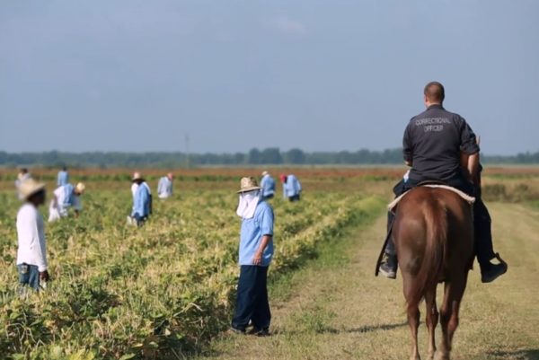 Modern day slavery in United States