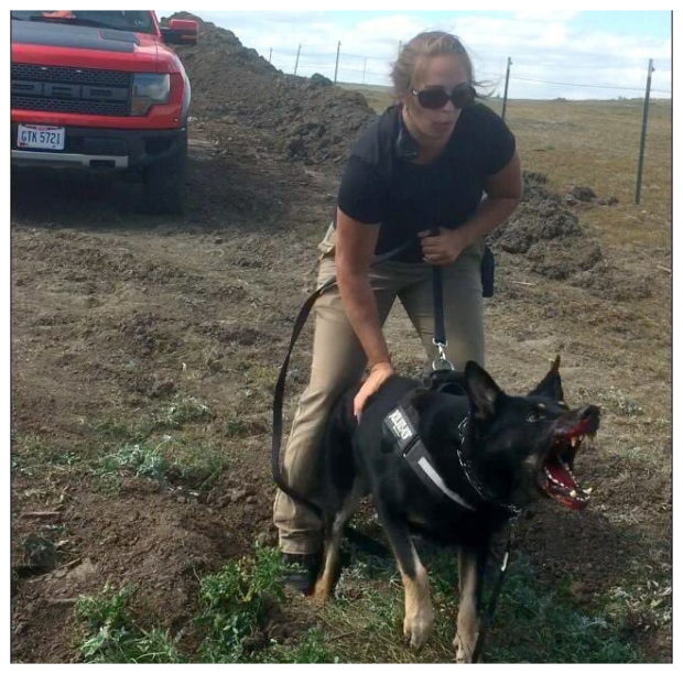 DAPL Guards