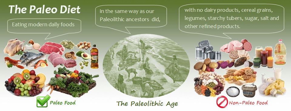 paleo diet