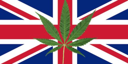 British Government Finally Admits Marijuana has a Medicinal Value, U.S. MSM Silent