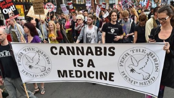 Marijuana in Britain