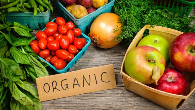 organic-farming