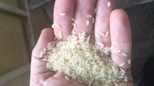 plastic rice