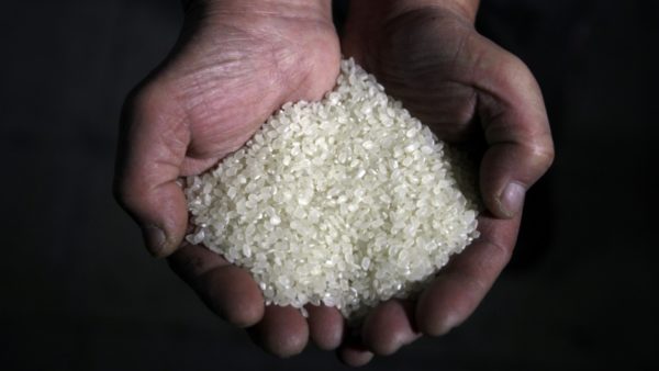 plastic rice