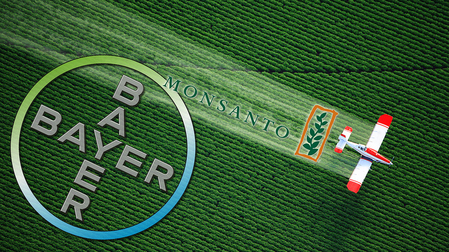 bayer-monsanto marijuana