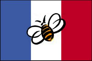 France bans pesticide