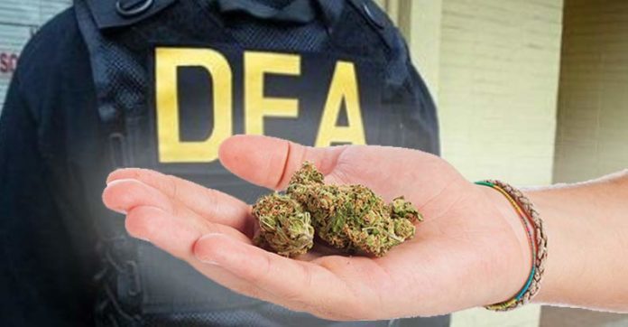 DEA