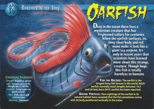 Oarfish