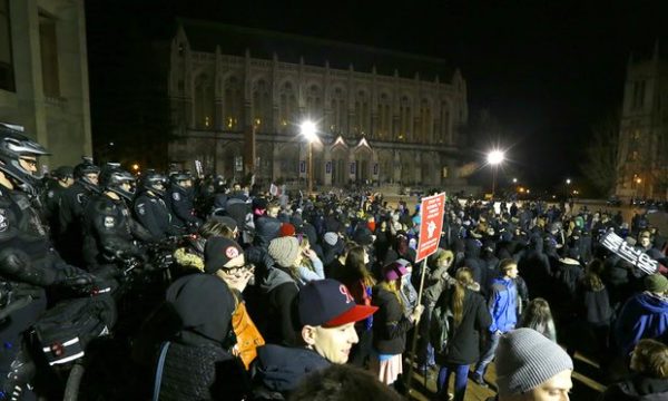 peaceful protester