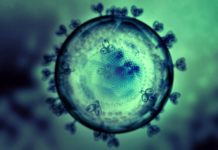 The Best HIV Treatment in Nature Would Be… Bacteria!