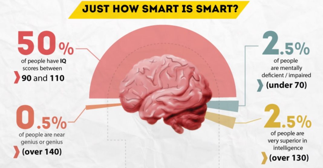 who is the most intelligent person in the world alive today