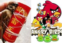 Children in China Play ‘Angry Birds’ With Live Sparrows: Activist Calls Upon China to Introduce Animal Rights Laws