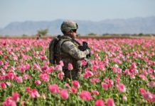 ISIS Makes Billions From Record-High Opium Production in Afghanistan, Thanks Bush!