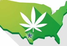 Marijuana Is God’s Plant: Republican Files Bill To Legalise Weed In Texas