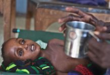 Who Is The IMF And Did They Cause A Famine In Africa?