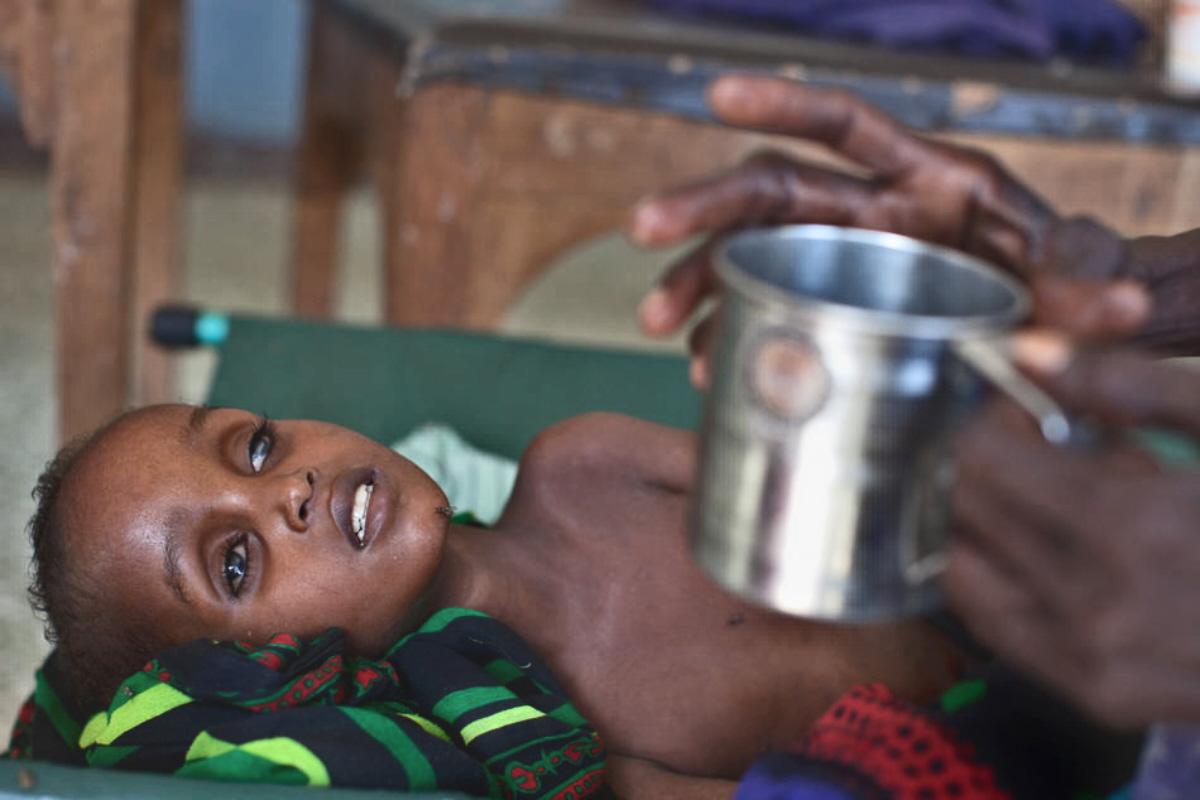 globally, what is the major cause of famine? pests flood armed conflict ozone depletion drought globally, what is the major cause of famine? pests flood armed conflict ozone depletion drought