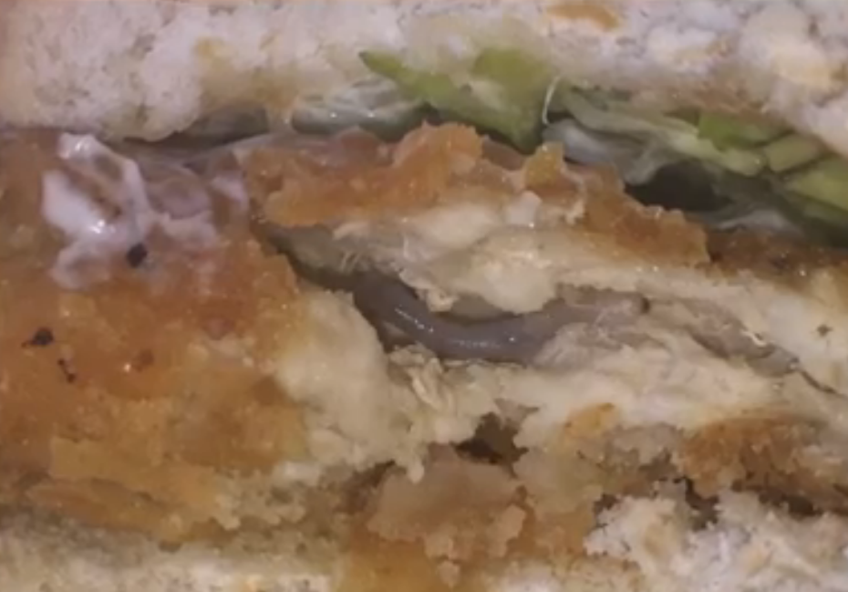 McDonalds' Secret Ingredient In Chicken Burger: Worms