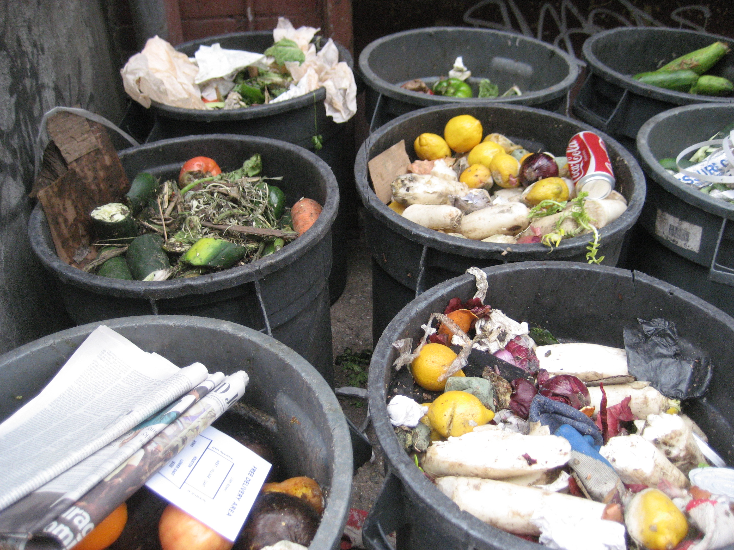Пищевые отходы утилизация. Утилизация пищевых отходов. Отходы еды. Пищевые отходы переработка.