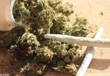 More Evidence: Marijuana Causes Cancer Cells To Commit Suicide