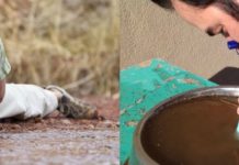 LifeStraw, An Invention That Makes Poop Water Drinkable