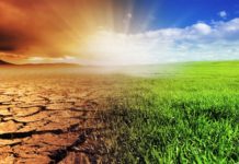 Guardian’s Editor-in-Chief and his One Regret