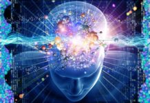 Charles Darwin Was Wrong. Consciousness IS Key To Evolution.