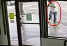 Oklahoma DJ Focuses On Smartphone, Overlooks Bull Snake. Pays The Price!