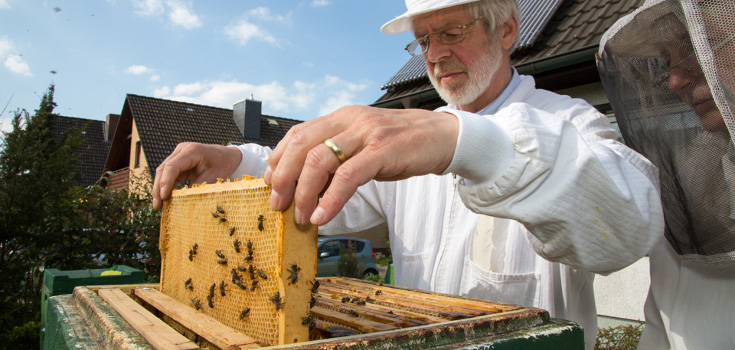 100,000 German Beekeepers Just Called For A Ban On GMOs